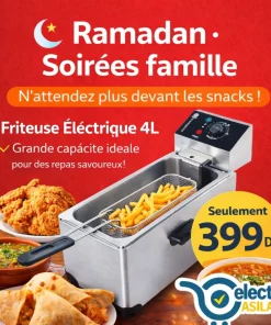 Friteuse Électrique 4L