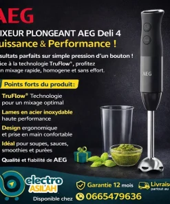 Mixeur Plongeant AEG Deli 4 – Puissance & Performance